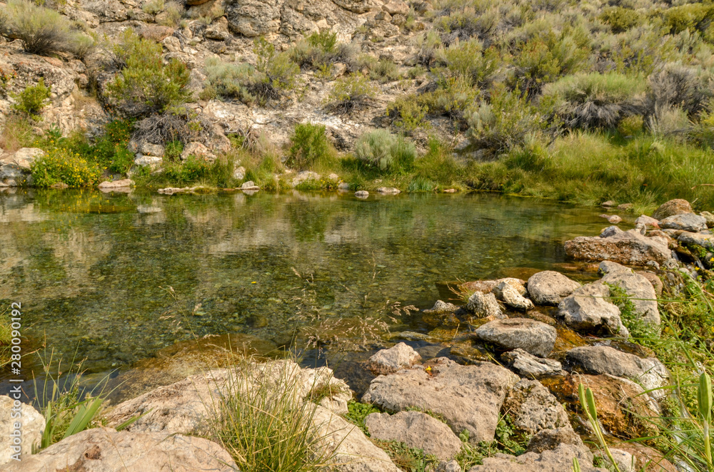 pond with crystal clear water at Layton Springs on the eastern shore of Lake Crowley (Mono county, California, USA)