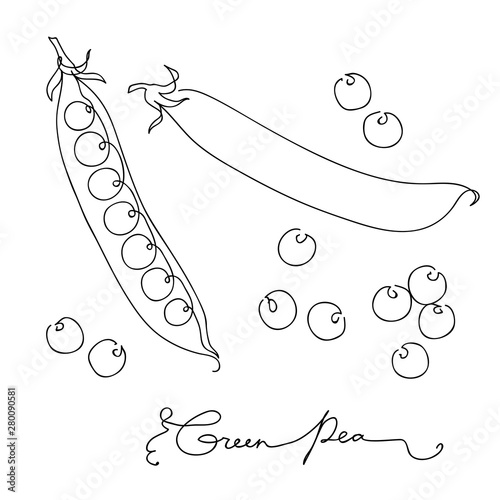 Hand drawn sketch green peas. isolated on white background. Continuous line art. Outline style hand drawn vector illustration