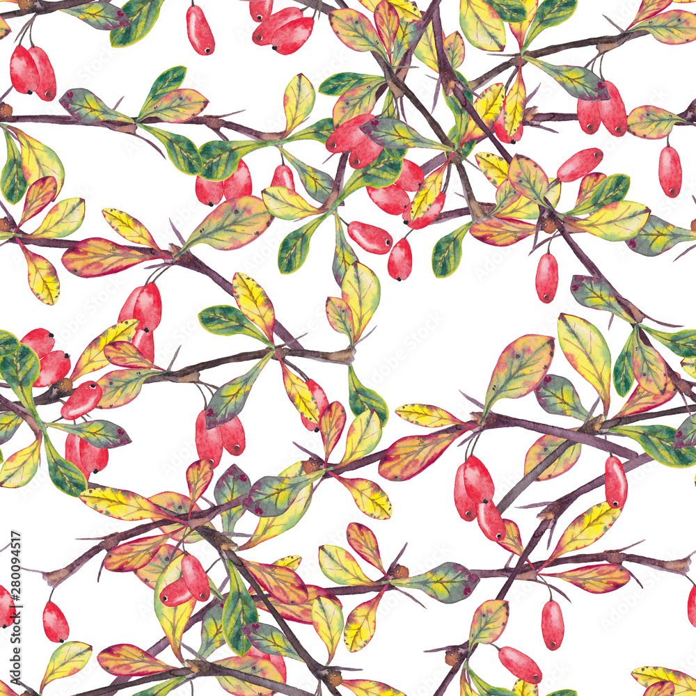 Seamless pattern with realistic autumn branches of barberry. Seamless pattern with realistic autumn branches of barberry.