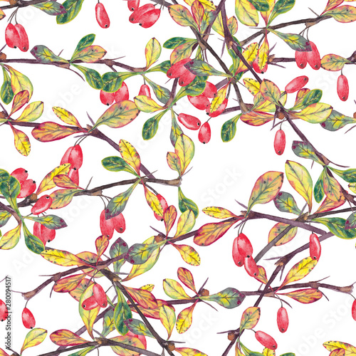 Seamless pattern with realistic autumn branches of barberry.