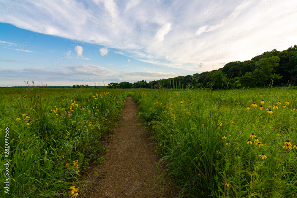 Dirt path at sunrise Dirt path at sunrise