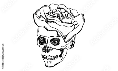 sketched rose Flower skull vector illustration