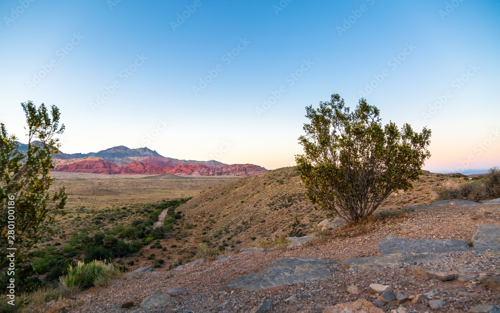 View of rock formations and flora in Red Rock Canyon National Recreation Area