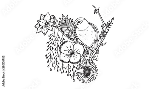 sketched tropical bird vector illustration