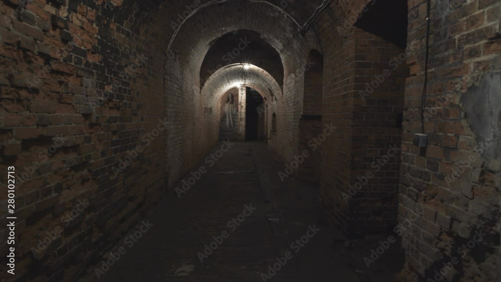 A ghost of a woman wanders through the gloomy corridors of old dungeons. A ghost of a woman wanders through the gloomy corridors of old dungeons.