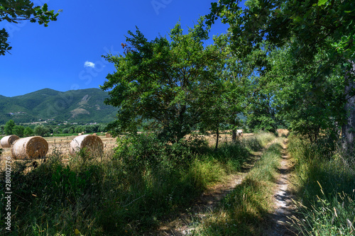 Polna droga w cieniu drzew obok ścierniska z belami słomy