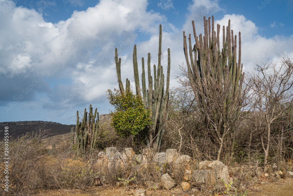 An old ruined land house on the Caribbean island of Curacao