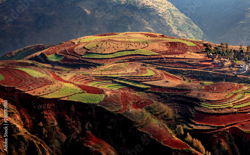 Dongchuan Red Earth Multi-Colored Terraces - Red Soil, Green Grass, Layered Terraces in Yunnan Province, China. Chinese Countryside, Agriculture, Exotic Unique Landscape. Farmland, Agriculture photo