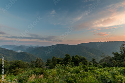 tropical rainforest,Khao Yai National Park Thailand. © pong0402