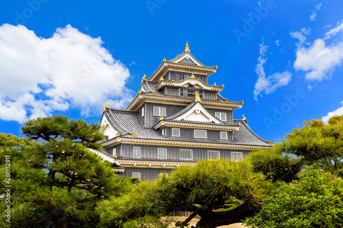 Fototapeta Punkt orientacyjny zamku Okayama.