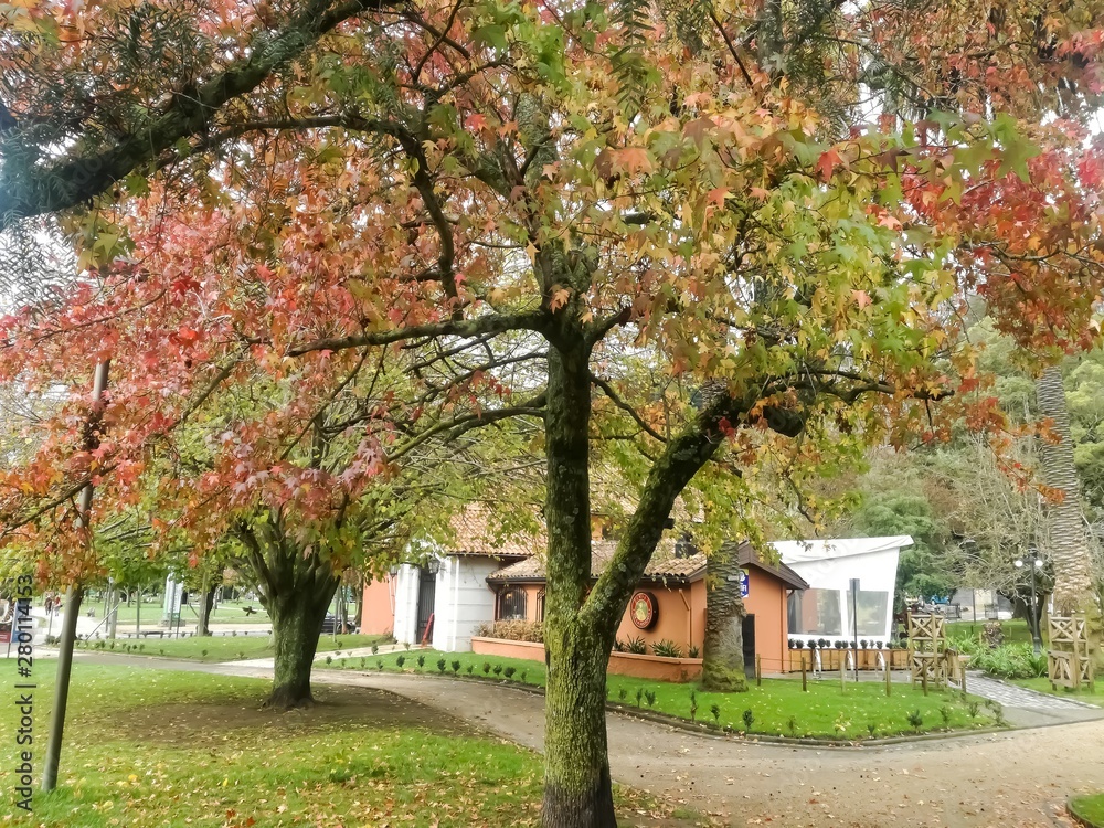 Naklejka premium ZK.photography-29