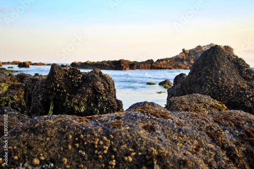 Oregon Coast