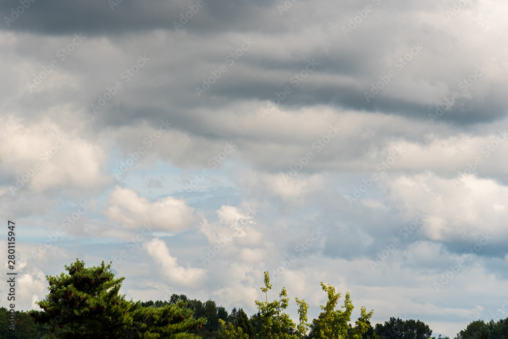 Stormy sky over a treetops, clouds in various shades of grey with a hint of blue sky Stormy sky over a treetops, clouds in various shades of grey with a hint of blue sky