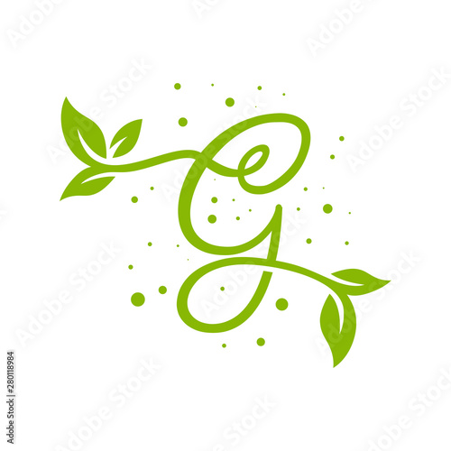 leaf logo design letter G