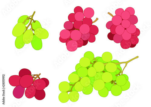 grape currant and raisin fruit fresh on white background illustration vector 