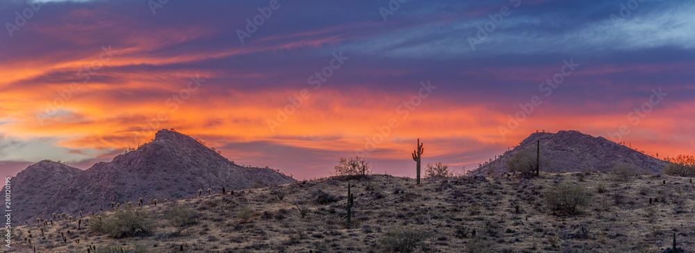 A Sunset over a Saguaro Cactus in the Sonoran Desert of Arizona panorama.
