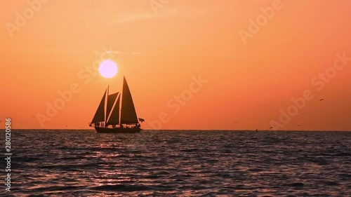 Clearwater Beach, Florida. July 09, 2019. Sailboat navigation on the horizon line while pelican descends vertiginously. photo