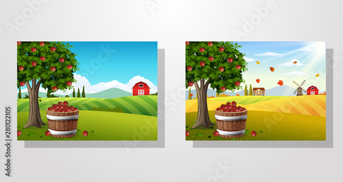 Apple tree and basket of apples in farm landscape