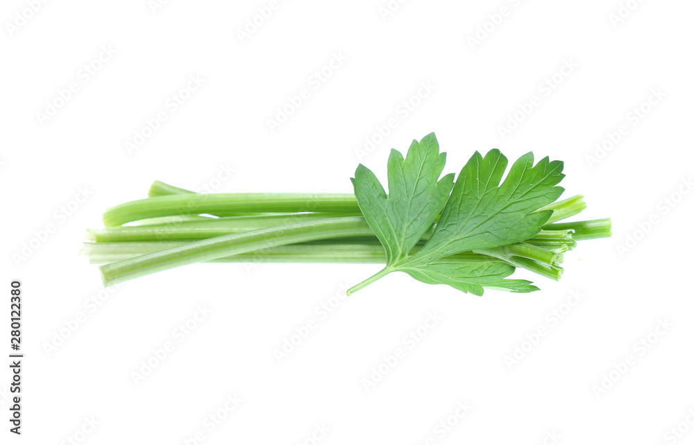Parsley herb isolated on white background Parsley herb isolated on white background
