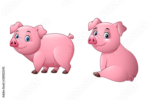Cartoon pig isolated on white background collections