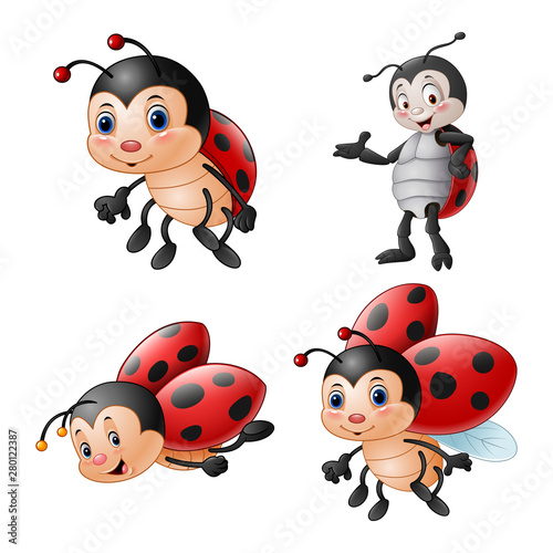 Cartoon funny ladybug illustration collections