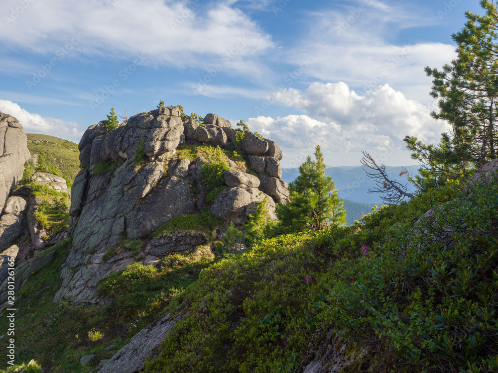 Fancy ancient stones and young cedars in the Ergaki Natural Park. Siberian wildlife Fancy ancient stones and young cedars in the Ergaki Natural Park. Siberian wildlife