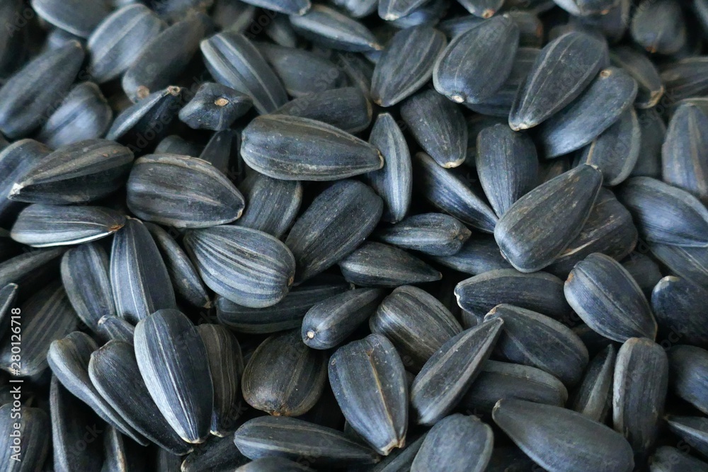 Sunflower Seed close-up background.Black Roasted Sunflower Seeds Texture.Food background Sunflower Seed close-up background.Black Roasted Sunflower Seeds Texture.Food background