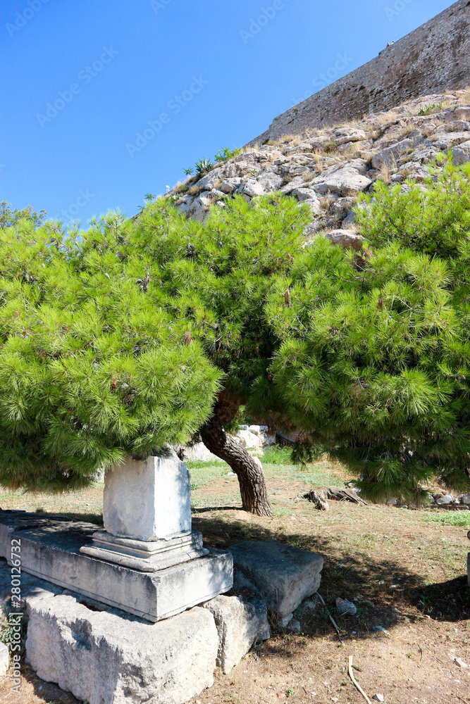 Landscape with beautiful green pine grown on the ruins of ancient greek temple