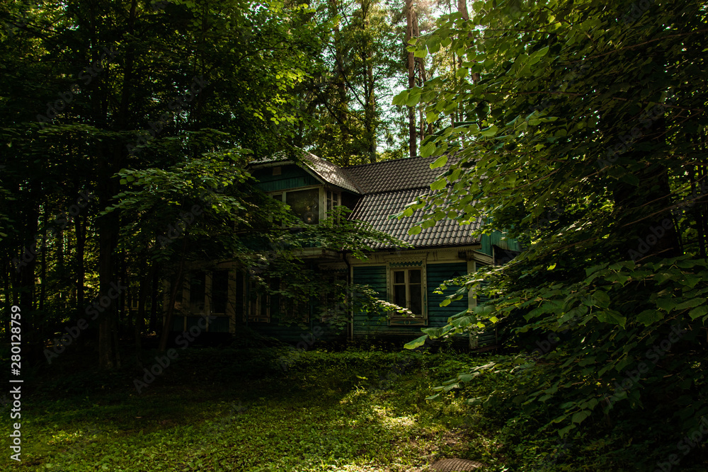old wooden house in the shade of tall tree branches old wooden house in the shade of tall tree branches