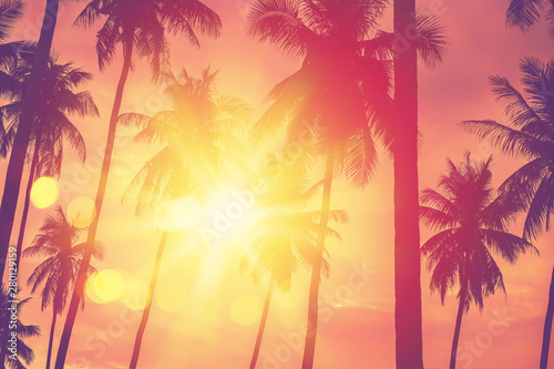 Tropikalny drzewko palmowe z kolorowym bokeh słońca światłem na zmierzchu nieba chmury abstrakta tle.