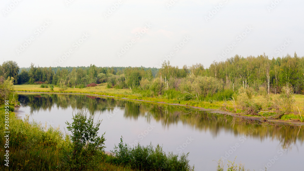 Overgrown with grass and remains of birches bar wild Northern lake with a reflection of the forest in Yakutia in the summer in the green grass and the shore in the shade.