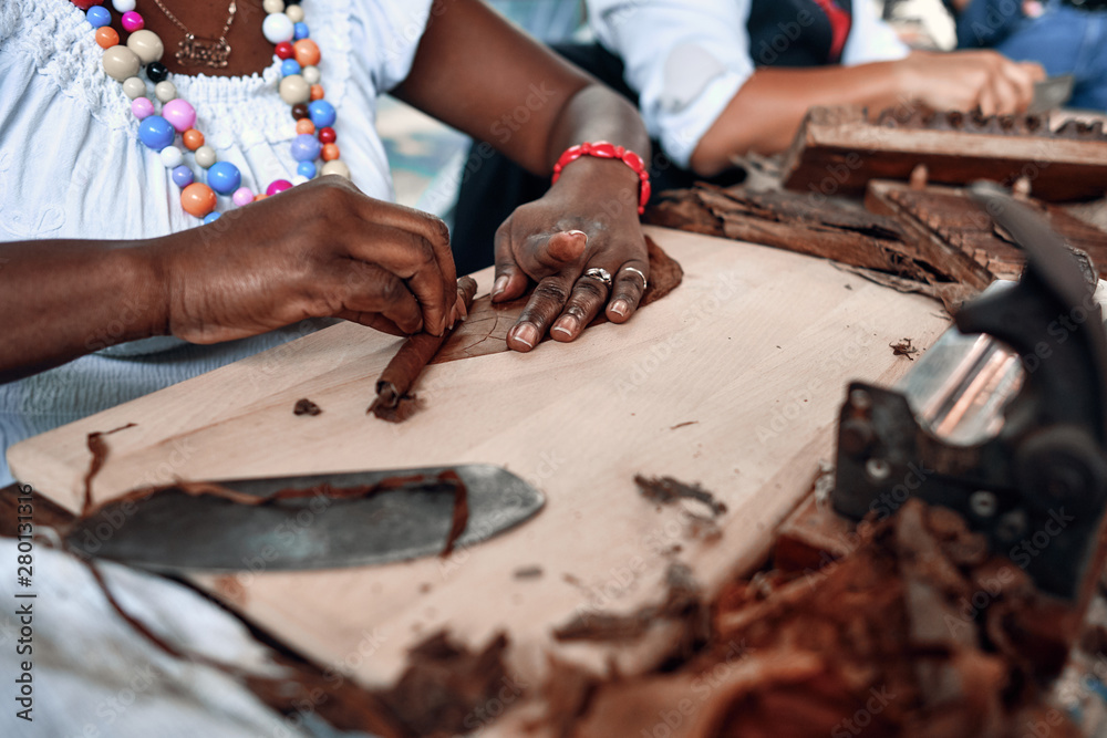 Closeup of woman hands making cigar from tobacco leaves. Traditional manufacture of cigars..Demonstration of production of handmade cigars. Hands rolling dried and cured tobacco leaves. Closeup of woman hands making cigar from tobacco leaves. Traditional manufacture of cigars..Demonstration of production of handmade cigars. Hands rolling dried and cured tobacco leaves.