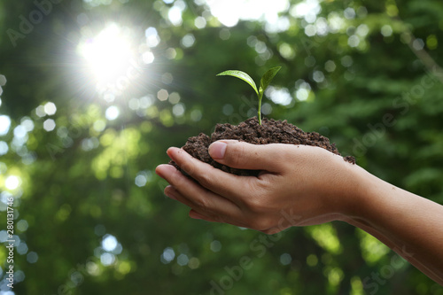 Agriculture. Farmer and nature baby plant in hands.