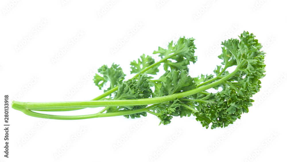 Parsley isolated on white background Parsley isolated on white background