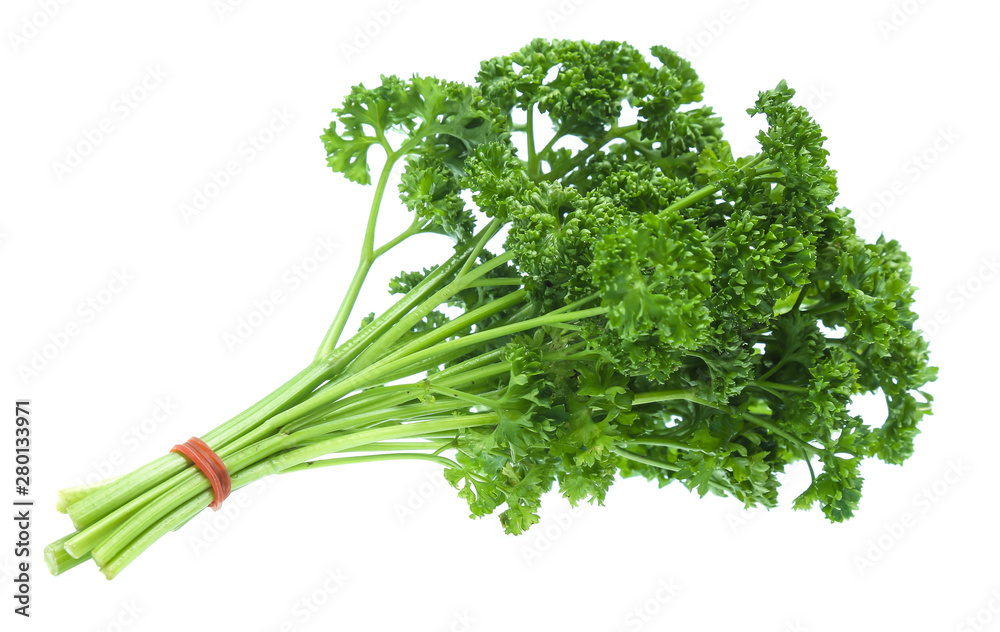 Parsley isolated on white background Parsley isolated on white background