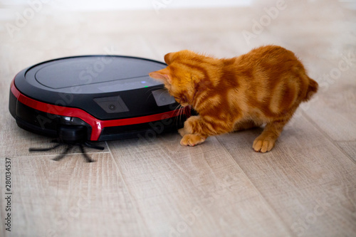 red kitten playing with a robot vacuum cleaner. the photo is made in a light key with partial blur photo