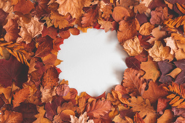Autumn composition. Frame made of dried leaves on gray background. Autumn, fall, thanksgiving day concept. Flat lay, top view, copy space