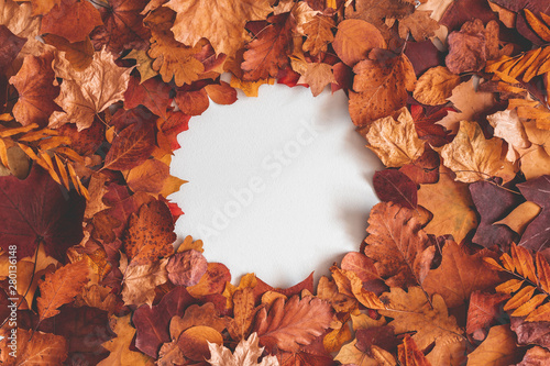 Autumn composition. Frame made of dried leaves on gray background. Autumn, fall, thanksgiving day concept. Flat lay, top view, copy space