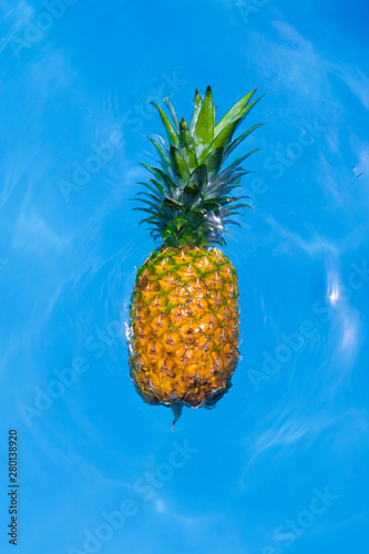 Large and delicious yellow pineapple floating in a pool - Sweet exotic pineapple - Blue background water
