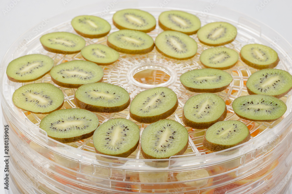 Kiwi slices on dehydrator rack Kiwi slices on dehydrator rack