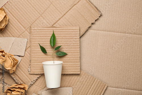 Green plant in cup and crumpled paper on carton, top view with space for text photo