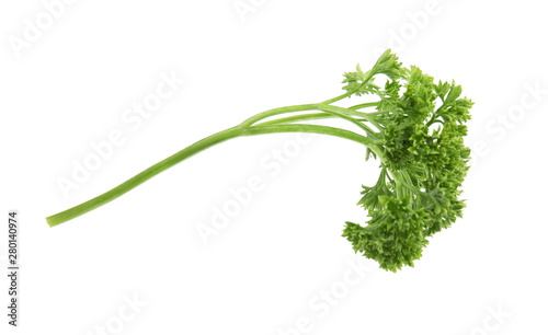 Fresh green organic parsley on white background
