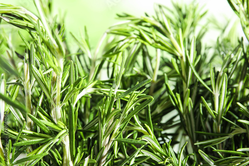 Branches of fresh rosemary on blurred green background