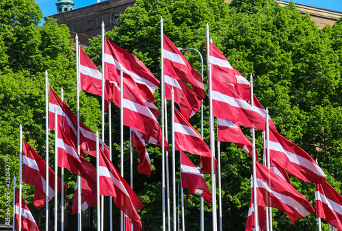 flags of latvia against the background of green trees