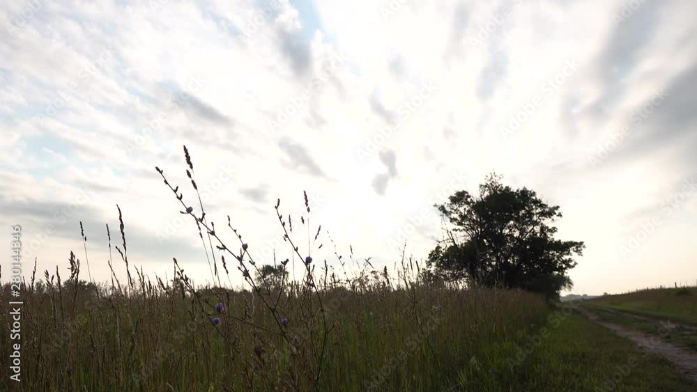 passing clouds and sunrise over country grass field prairie and country road 4k passing clouds and sunrise over country grass field prairie and country road 4k