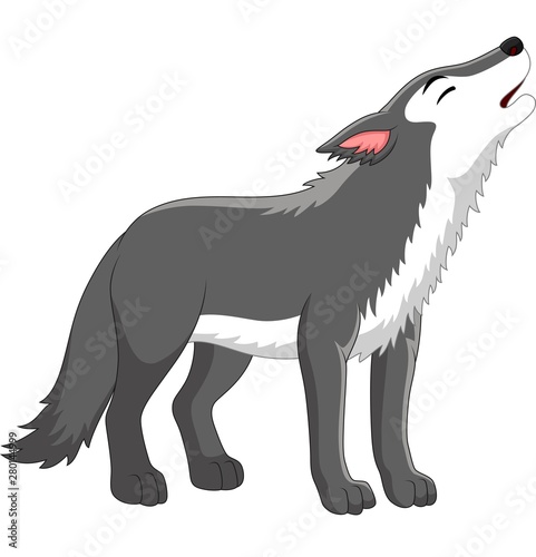 Cartoon wolf howling on white background