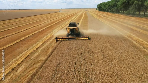 Side view of the harvester red and blue tractor, producing cleaning yellow rapeseed at farmers ' fields. The raw material is poured from the agricultural machine into a brown trailer, the heat comes