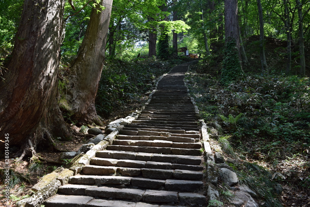 Obraz premium 羽黒山の石段 ／山形県鶴岡市の羽黒山は標高414mで、山岳信仰の中心地として有名です。参道は瑞心門から国宝の五重塔を通り、上ること2446段と、神社では石段の数で日本一です。出羽三山神社までは車での参拝も出来ますが、パワースポットの御利益は、徒歩の方が上と言わています。