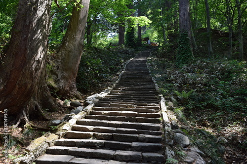羽黒山の石段 ／山形県鶴岡市の羽黒山は標高414mで、山岳信仰の中心地として有名です。参道は瑞心門から国宝の五重塔を通り、上ること2446段と、神社では石段の数で日本一です。出羽三山神社までは車での参拝も出来ますが、パワースポットの御利益は、徒歩の方が上と言わています。