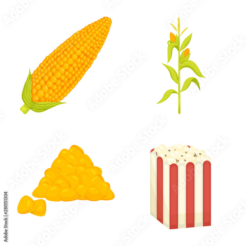 Vector illustration of maize and food sign. Collection of maize and crop stock vector illustration.